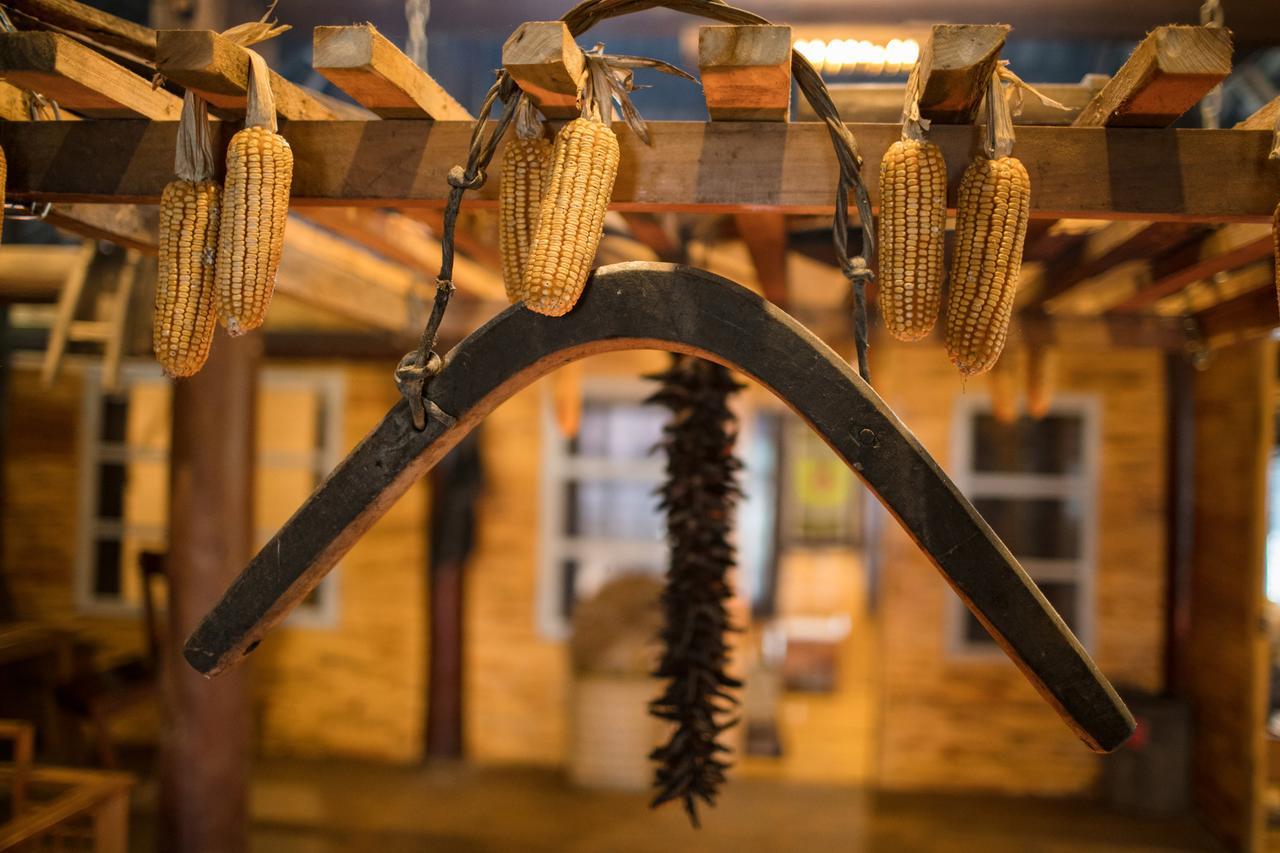 Tavan Riverside Ecolodge サパ エクステリア 写真