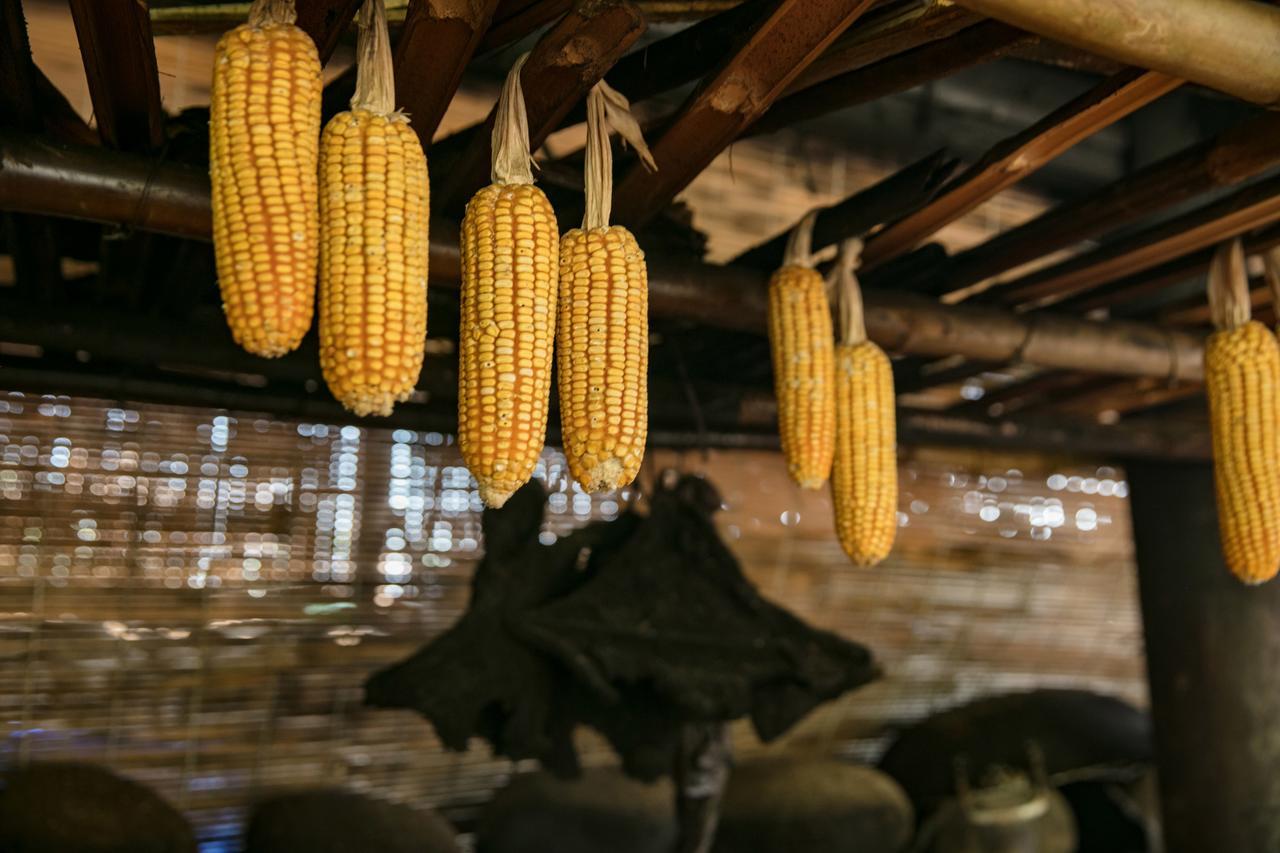 Tavan Riverside Ecolodge サパ エクステリア 写真